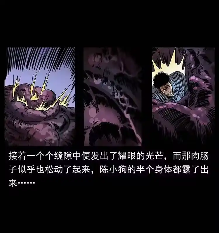 幽冥诡匠_h 242 陈小狗失算了 第43页