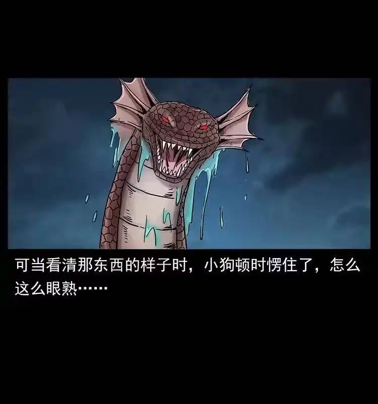 幽冥诡匠_h 242 陈小狗失算了 第77页