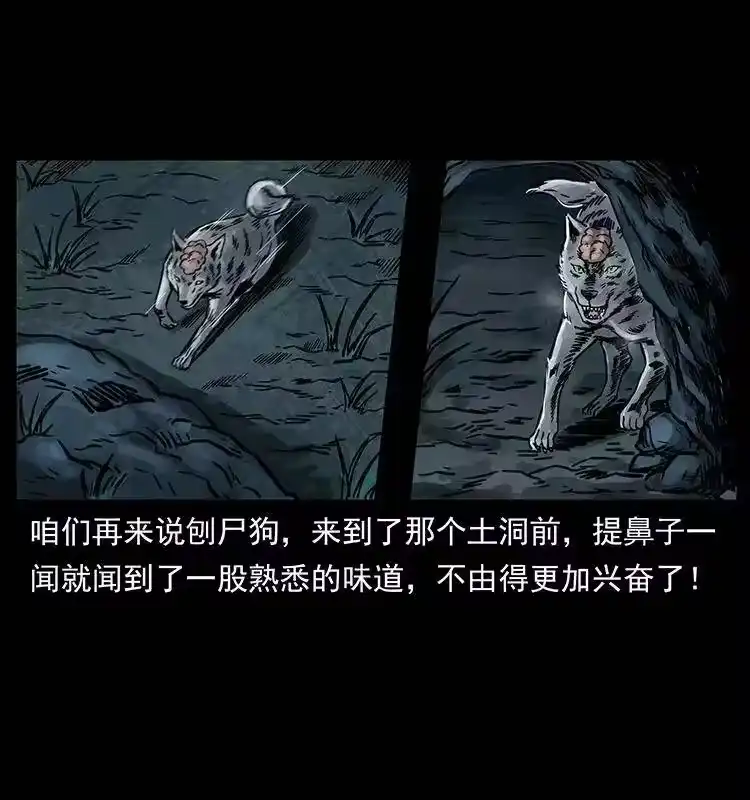 幽冥诡匠_h 250 走失 第80页