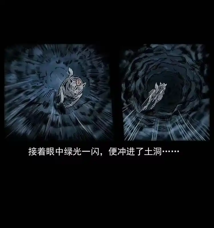 幽冥诡匠_h 250 走失 第81页