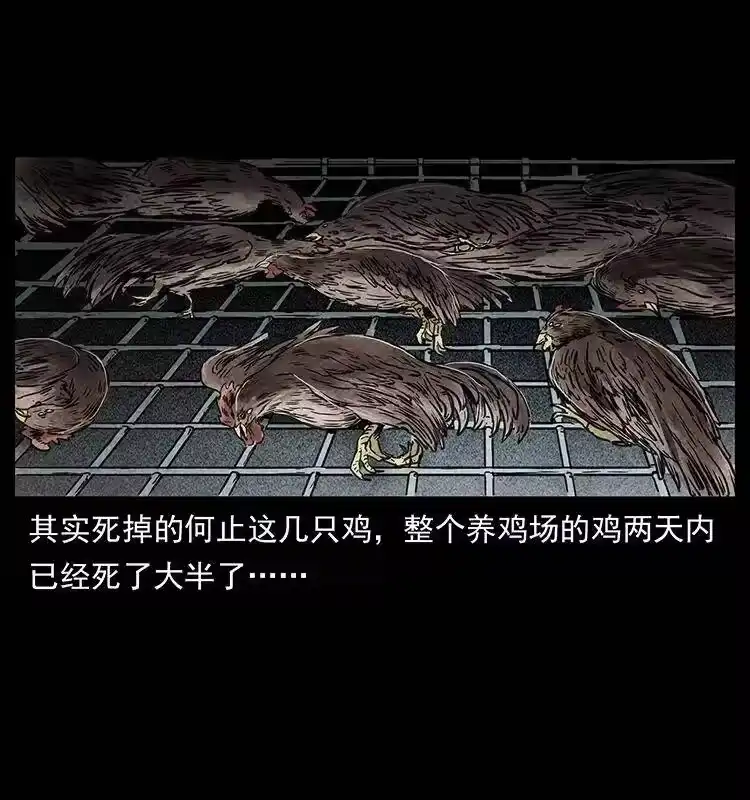 幽冥诡匠_h 251 刨尸狗遇险 第29页