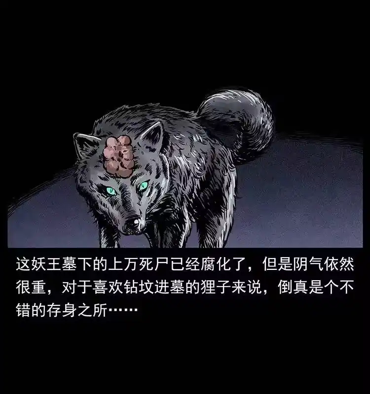 幽冥诡匠_h 251 刨尸狗遇险 第67页