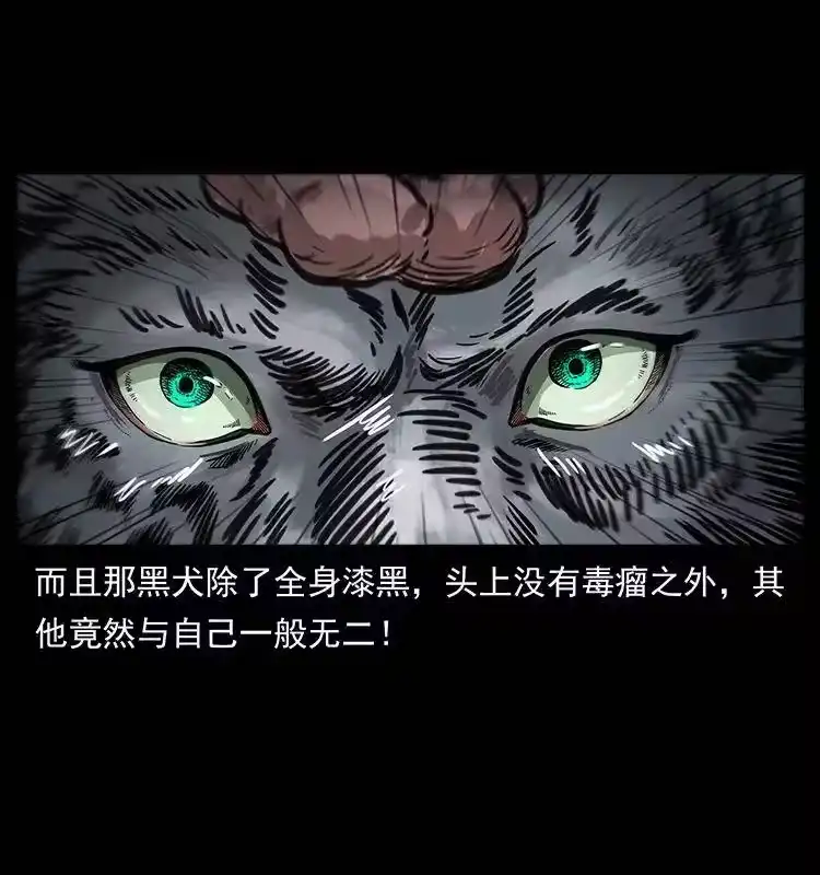 幽冥诡匠_h 251 刨尸狗遇险 第82页