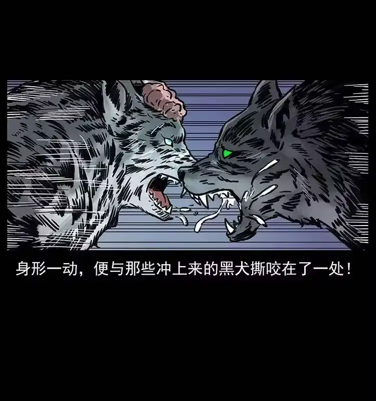 幽冥诡匠_h 251 刨尸狗遇险 第88页
