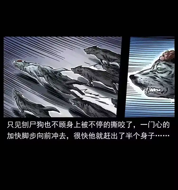 幽冥诡匠_h 252 危机！危机 第12页