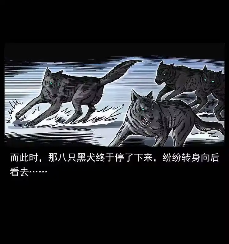 幽冥诡匠_h 252 危机！危机 第17页