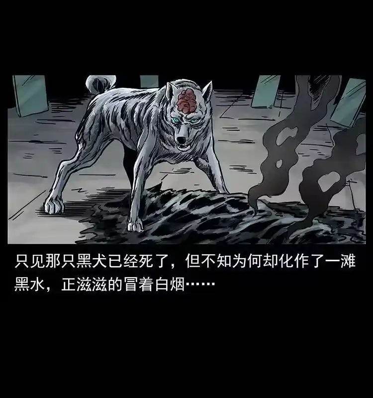 幽冥诡匠_h 252 危机！危机 第18页