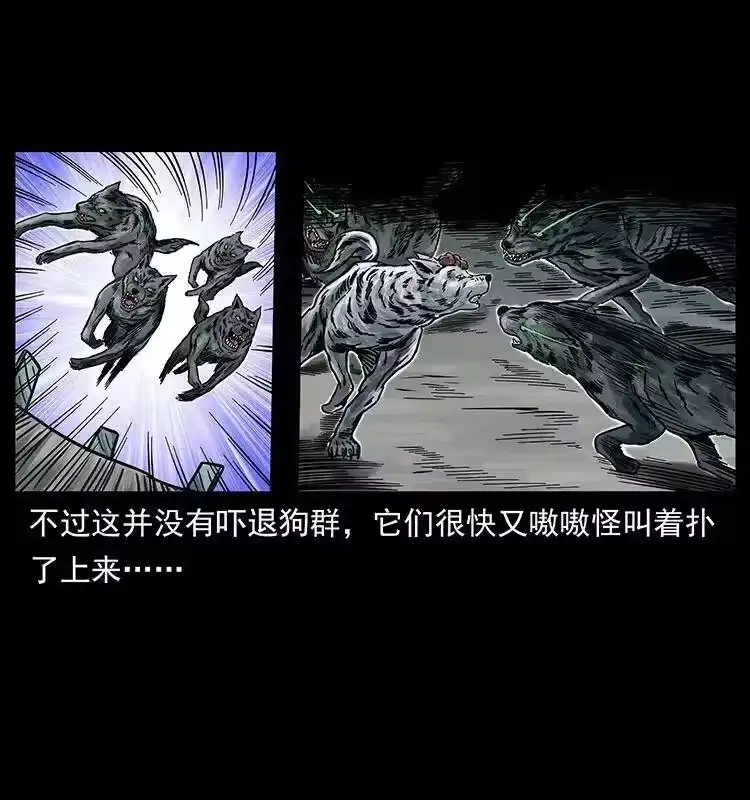 幽冥诡匠_h 252 危机！危机 第19页