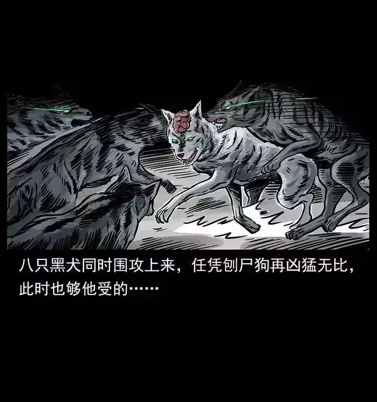幽冥诡匠_h 252 危机！危机 第20页