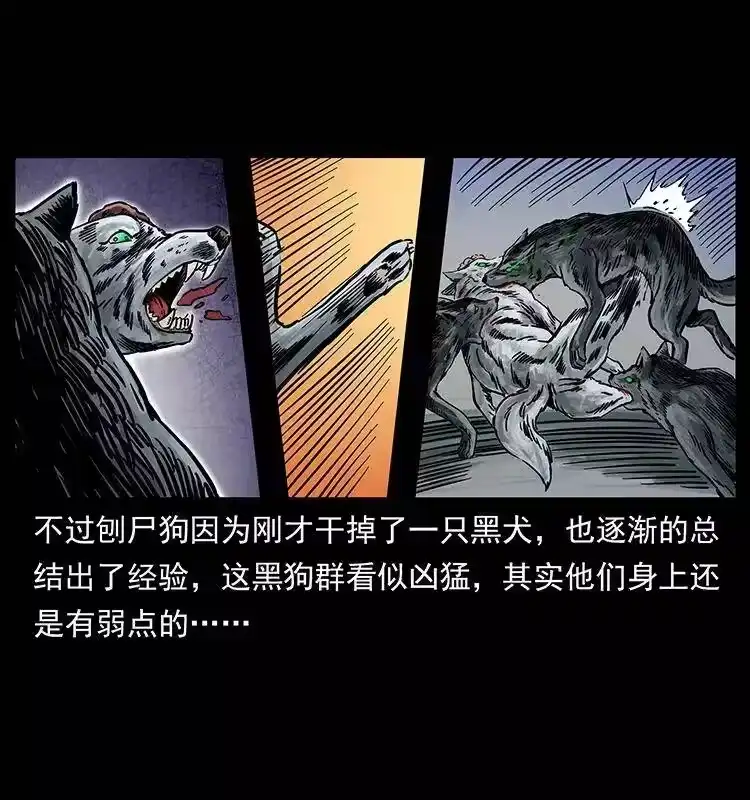 幽冥诡匠_h 252 危机！危机 第23页