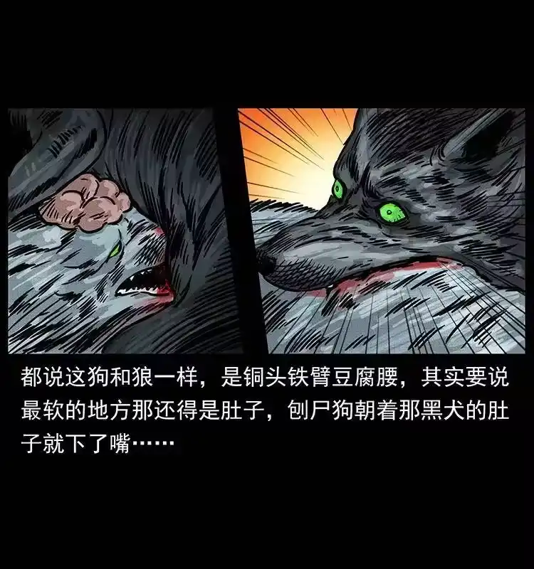 幽冥诡匠_h 252 危机！危机 第26页