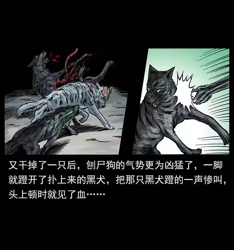 幽冥诡匠_h 252 危机！危机 第28页
