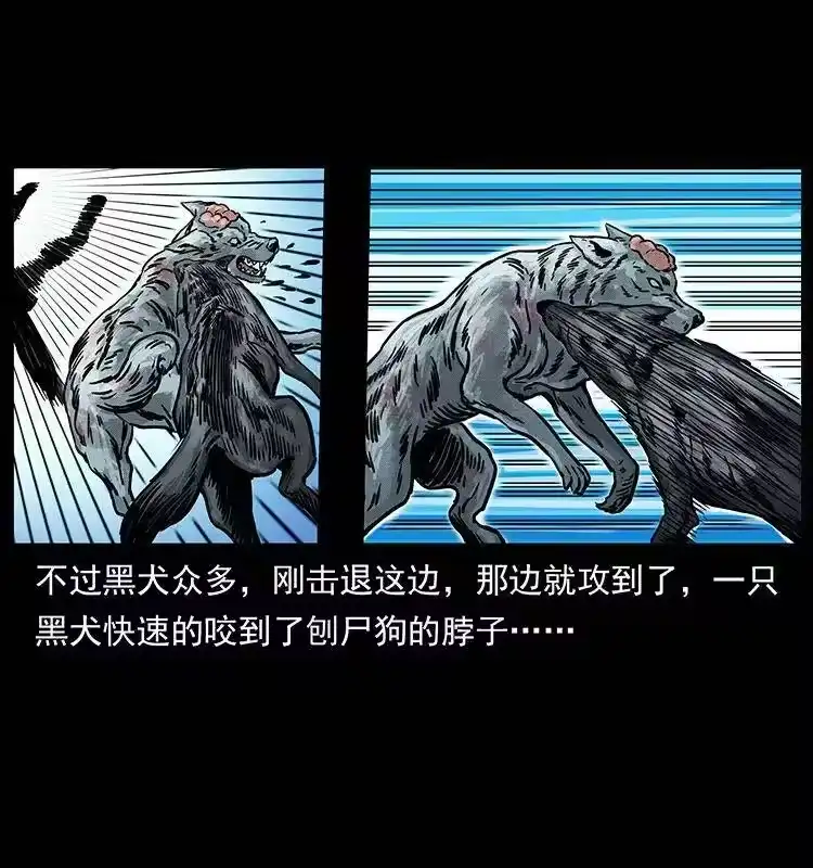 幽冥诡匠_h 252 危机！危机 第29页