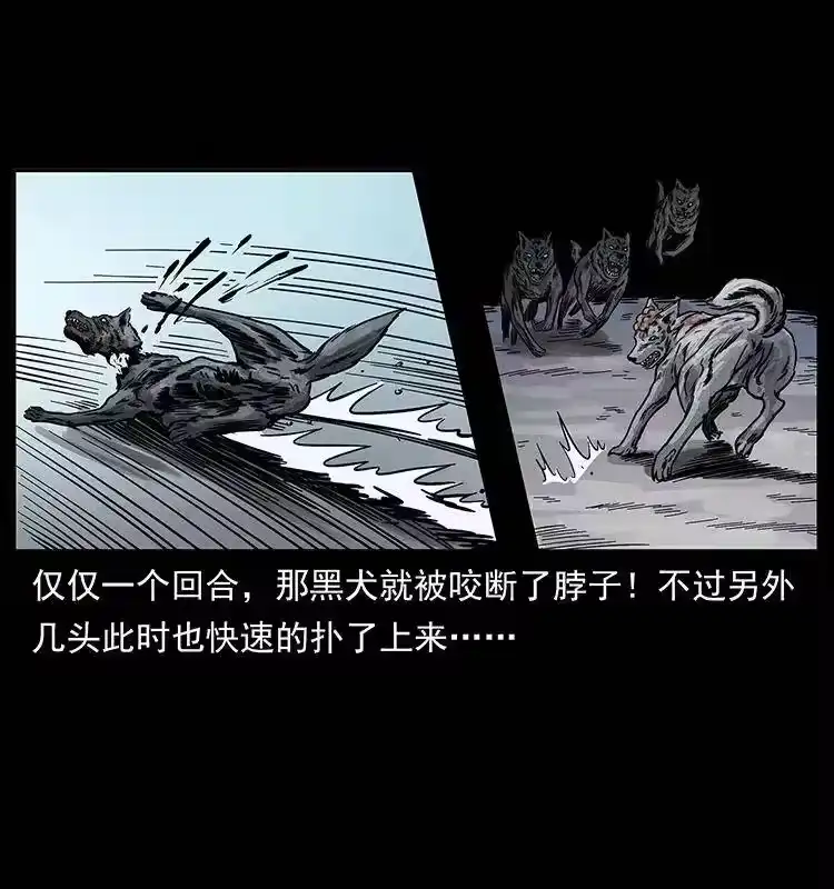 幽冥诡匠_h 252 危机！危机 第39页