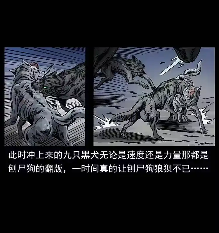 幽冥诡匠_h 252 危机！危机 第4页