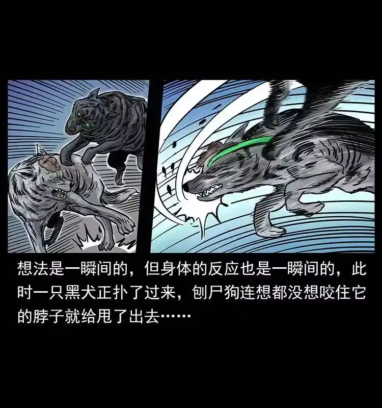 幽冥诡匠_h 252 危机！危机 第46页