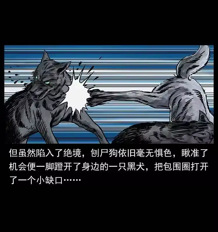 幽冥诡匠_h 252 危机！危机 第5页