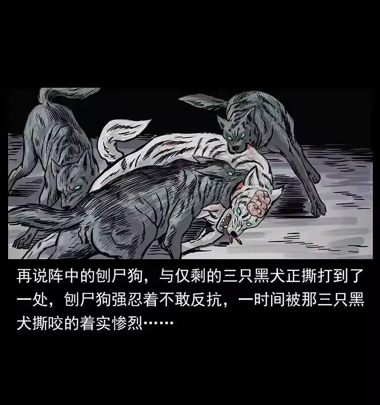 幽冥诡匠_h 252 危机！危机 第53页