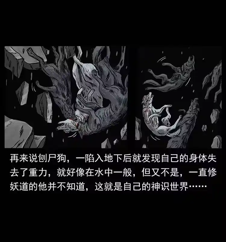 幽冥诡匠_h 252 危机！危机 第57页