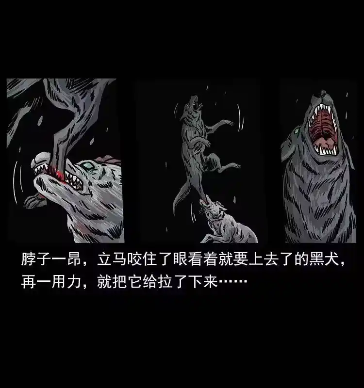 幽冥诡匠_h 252 危机！危机 第60页