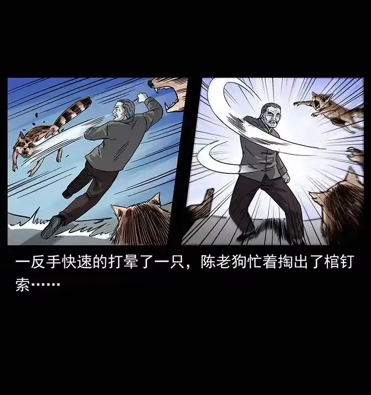 幽冥诡匠_h 252 危机！危机 第70页