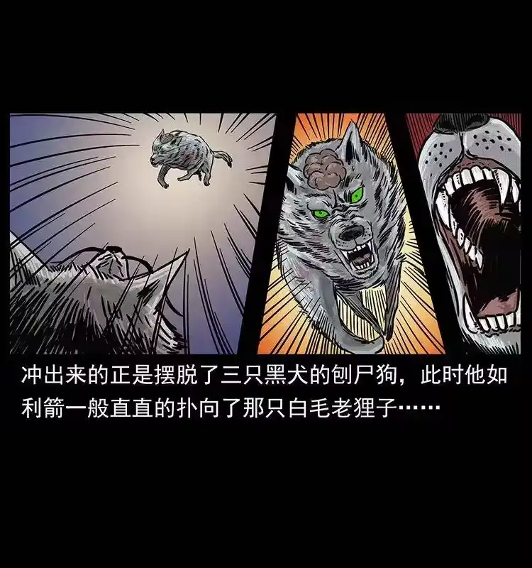 幽冥诡匠_h 252 危机！危机 第84页