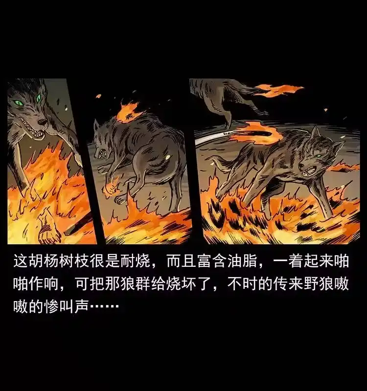 幽冥诡匠_h 255 天阴石 第50页