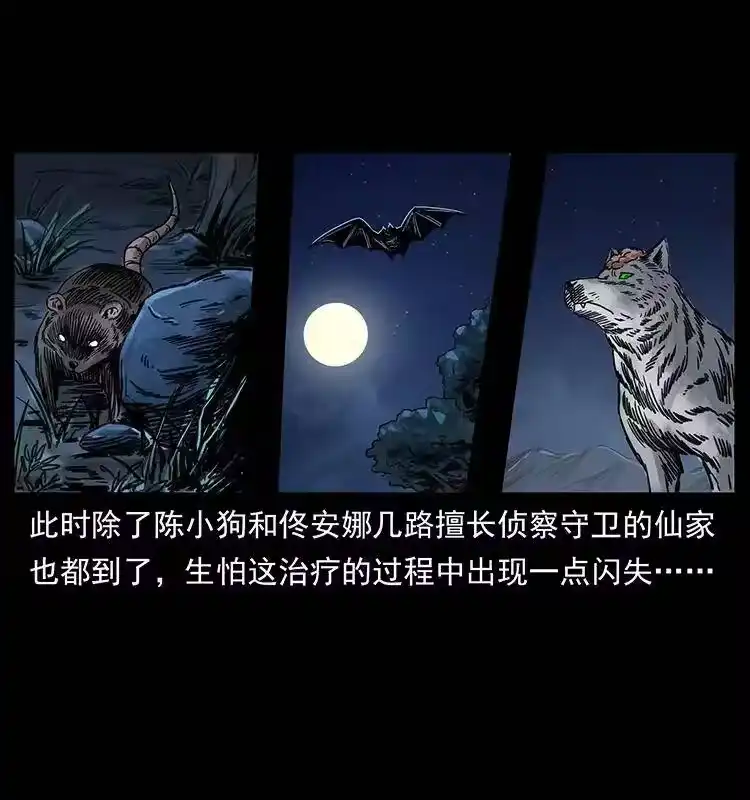 幽冥诡匠_h 259 人盂 第78页