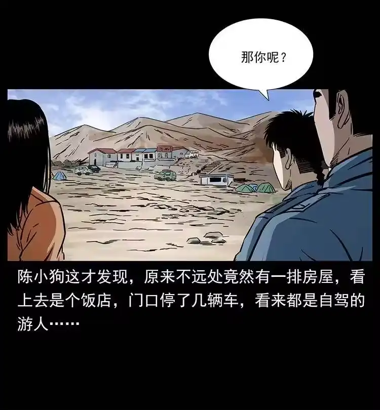 幽冥诡匠_h 261 新藏线 第21页