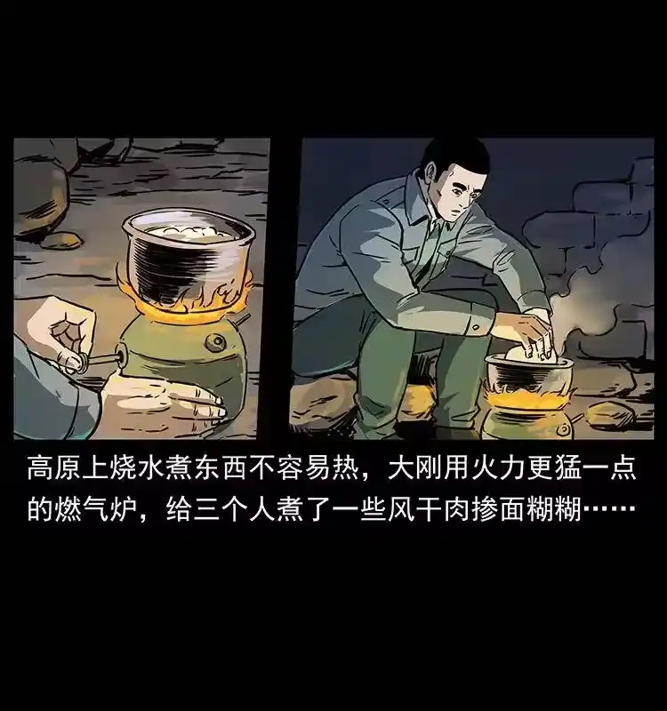 幽冥诡匠_h 261 新藏线 第30页