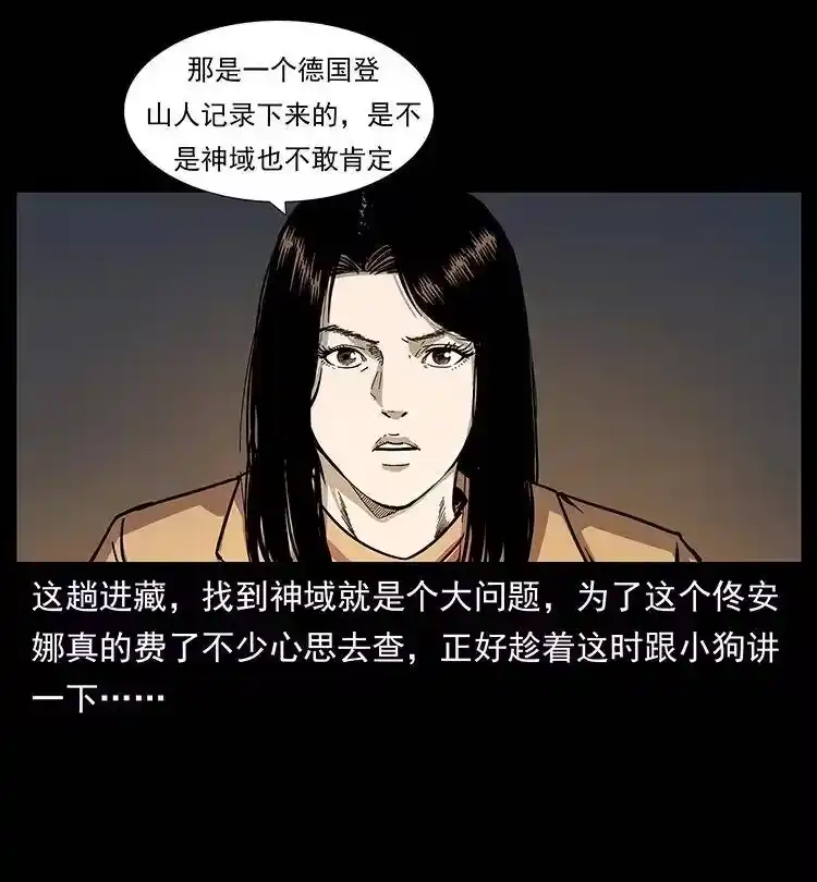 幽冥诡匠_h 261 新藏线 第35页