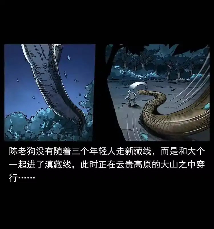 幽冥诡匠_h 262 藏地神族 第49页