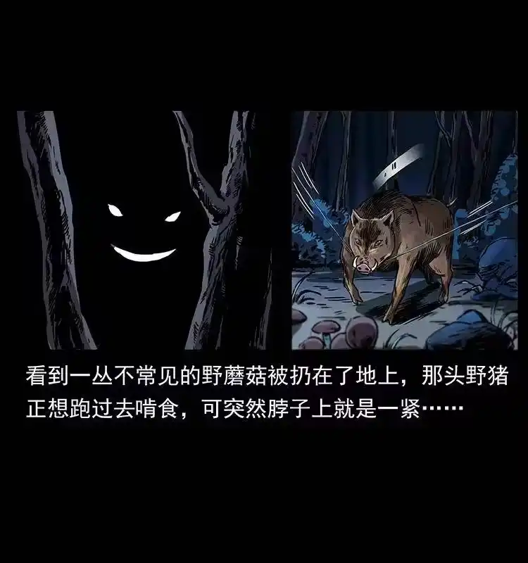 幽冥诡匠_h 263 恐怖杀人峰 第48页