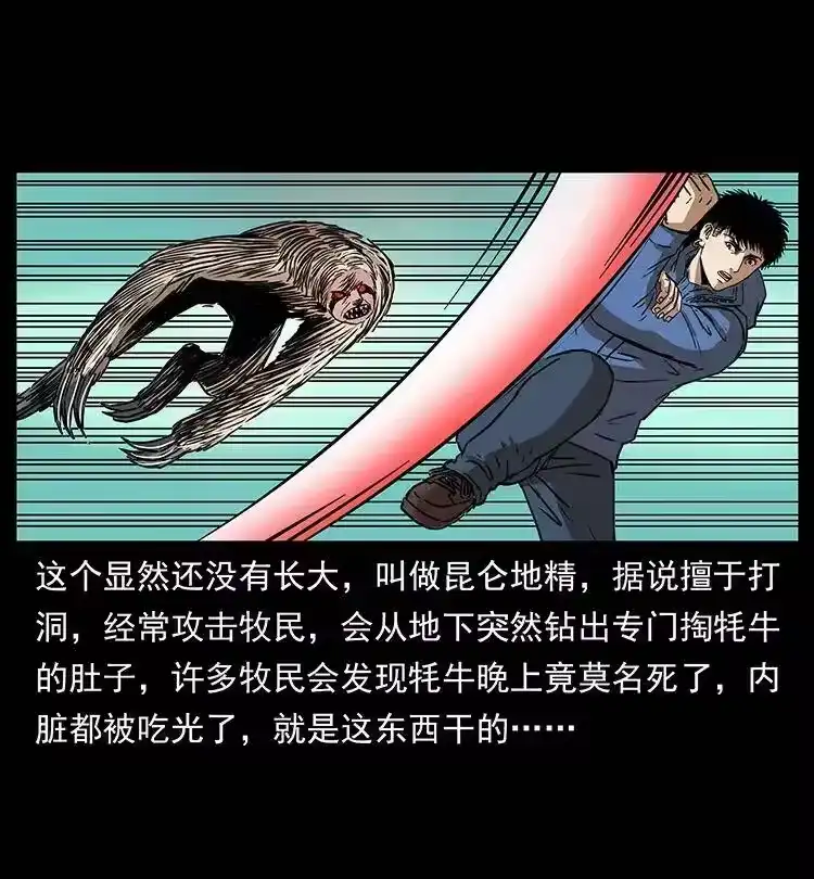 幽冥诡匠_h 267 万山之祖——昆仑！ 第44页