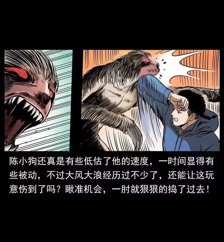 幽冥诡匠_h 267 万山之祖——昆仑！ 第47页