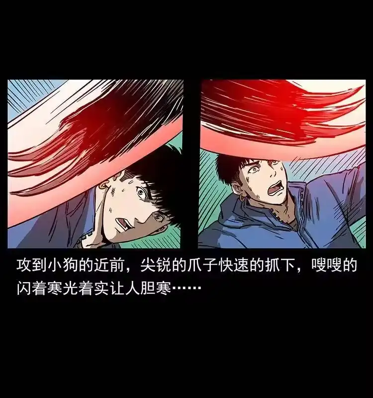 幽冥诡匠_h 267 万山之祖——昆仑！ 第51页