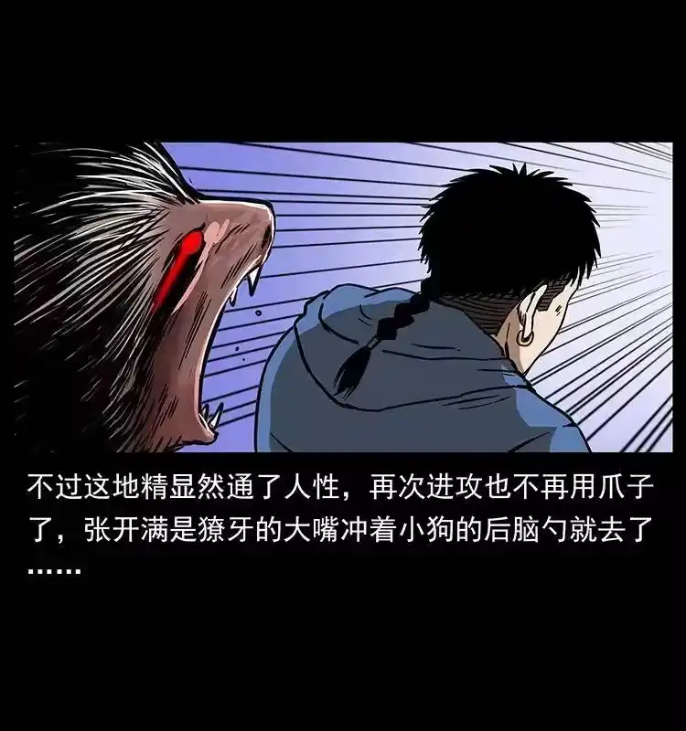 幽冥诡匠_h 267 万山之祖——昆仑！ 第58页