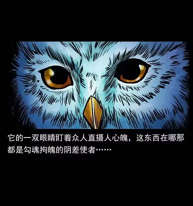 幽冥诡匠_h 267 万山之祖——昆仑！ 第81页