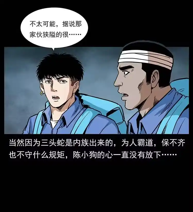 幽冥诡匠_h 277 三头蛇 第43页