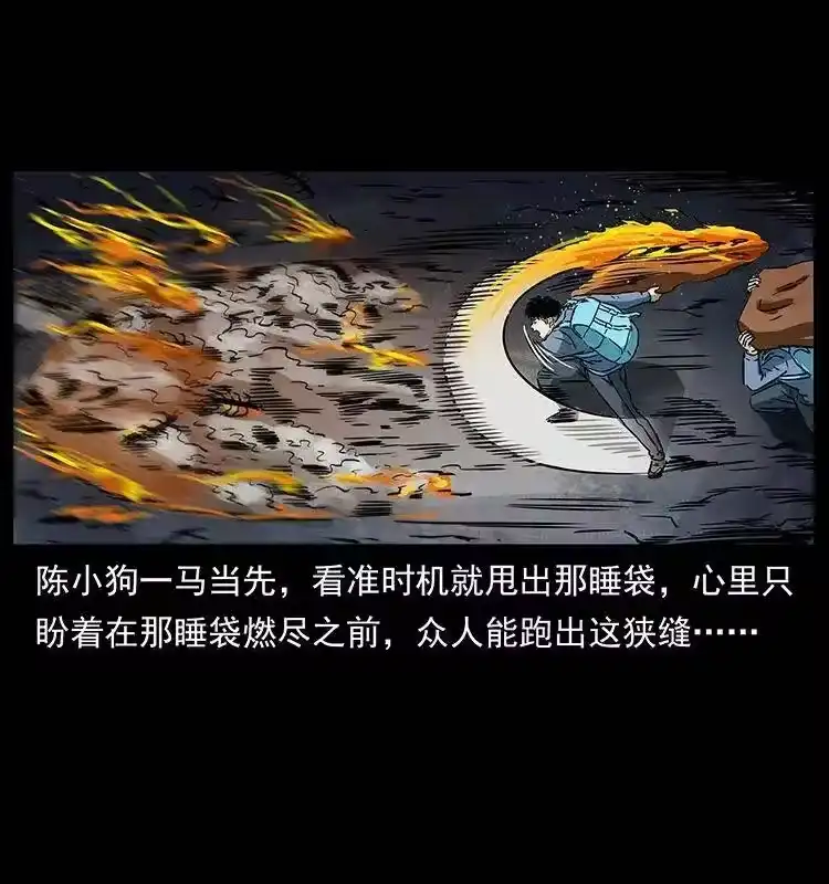 幽冥诡匠_h 278 黑狐的危机！ 第29页