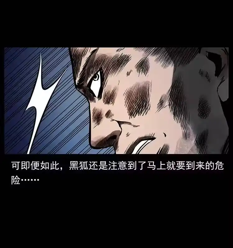 幽冥诡匠_h 278 黑狐的危机！ 第82页