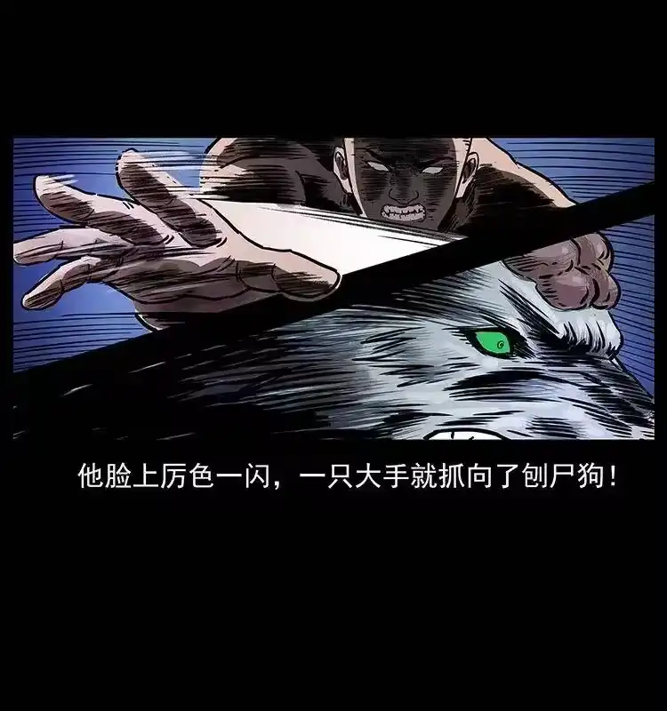 幽冥诡匠_h 278 黑狐的危机！ 第83页