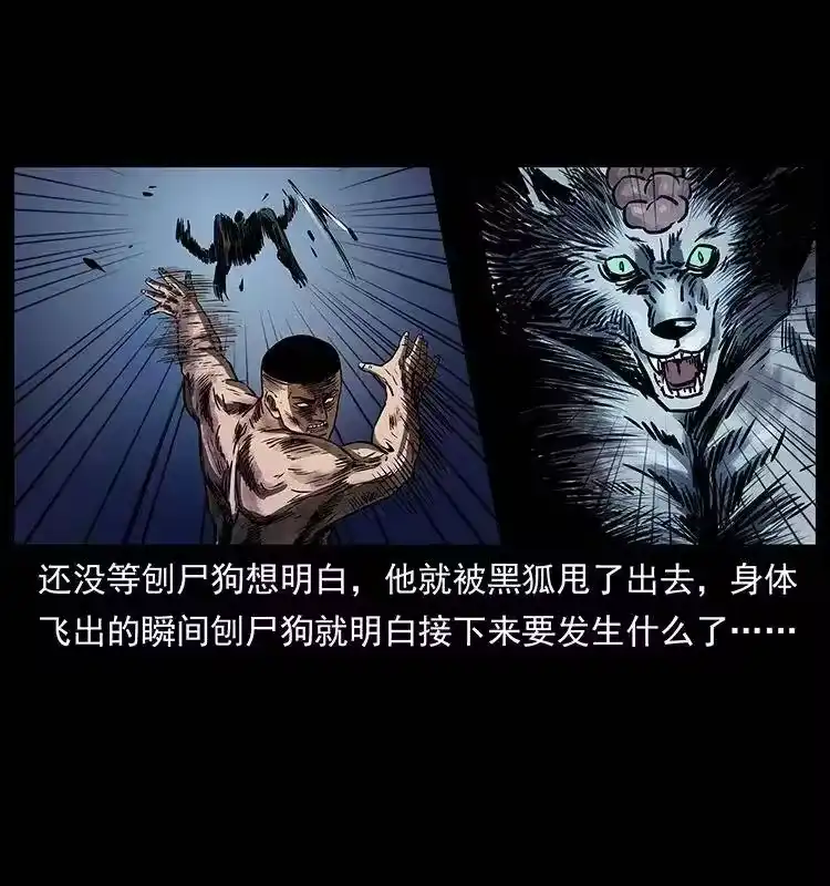 幽冥诡匠_h 278 黑狐的危机！ 第84页