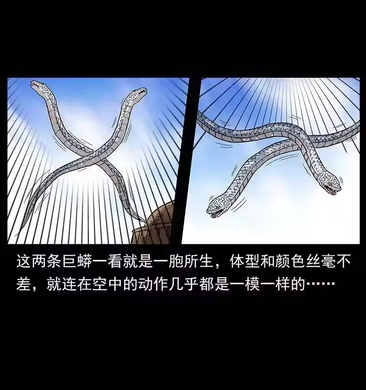 幽冥诡匠_h 283 神域守门人 第10页