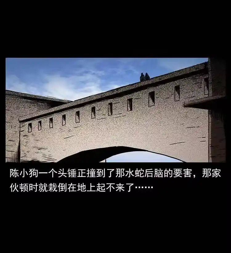 幽冥诡匠_h 285 水蛟一族 第2页