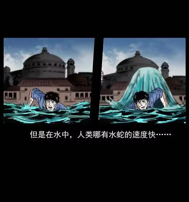 幽冥诡匠_h 285 水蛟一族 第28页