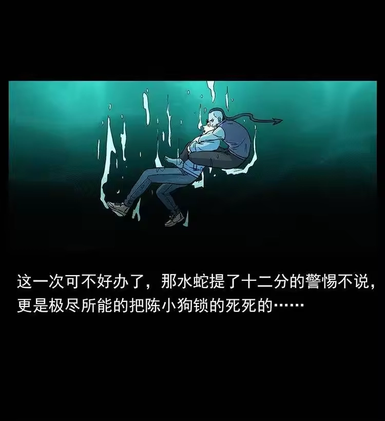 幽冥诡匠_h 285 水蛟一族 第31页
