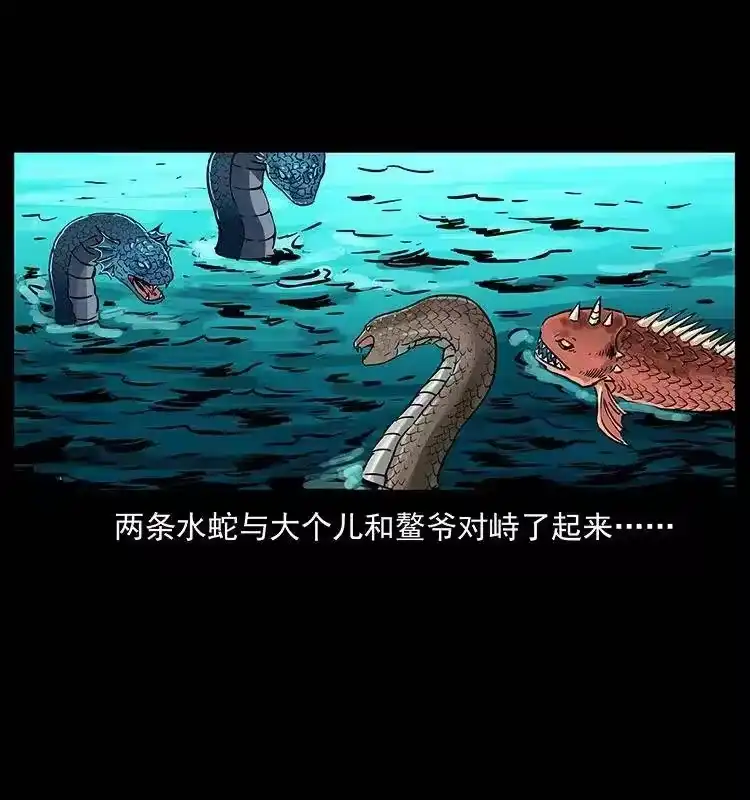 幽冥诡匠_h 285 水蛟一族 第47页