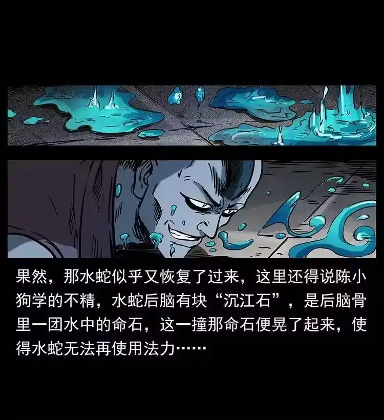 幽冥诡匠_h 285 水蛟一族 第9页