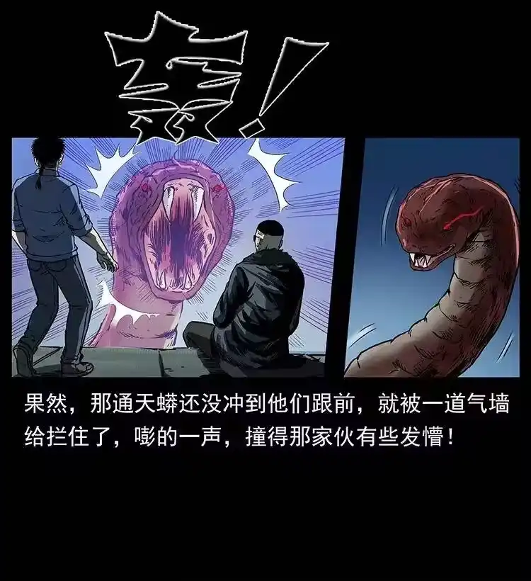 幽冥诡匠_h 288 强者归队！ 第66页
